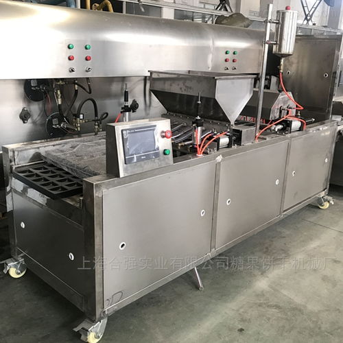 上海合强HQDG-600型蛋糕成型机 高效单排饼干与蛋糕生产的专业解决方案